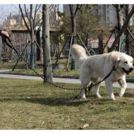 Vodítko pro psy reflexní kulaté 5 m černá + pouzdro na sáčky Purlov 21655