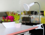 LED Lampička pro pěstování rostlin s klipem GROW 9.5 W Gardlov 16348